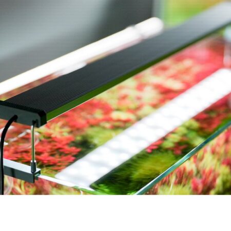 B-Serie 80-100 cm (41,3 W) inkl. Bluetooth - DE Version