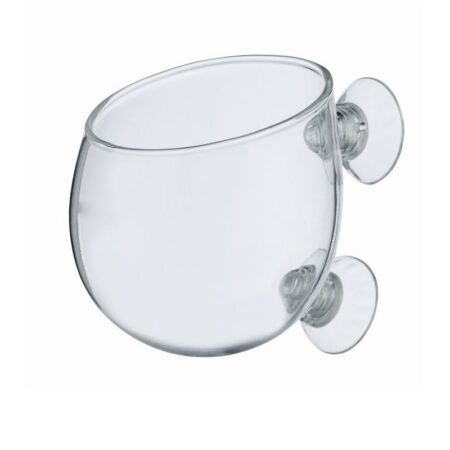 Glas Vase für Pflanzen