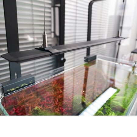 Seilaufhängung für A2 Serie