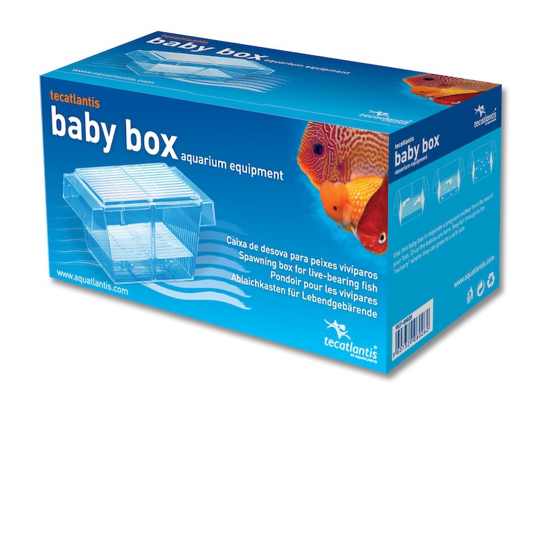 ablaichkasten Ablaichkasten