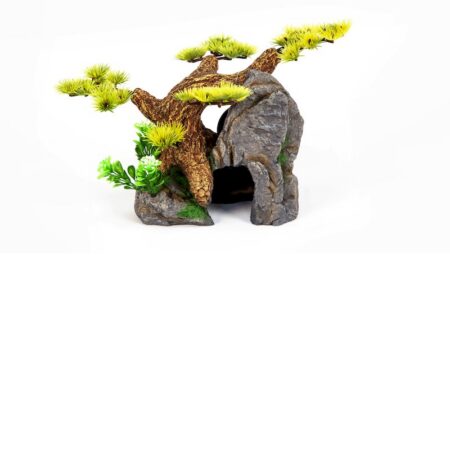 Bonsai Höhle