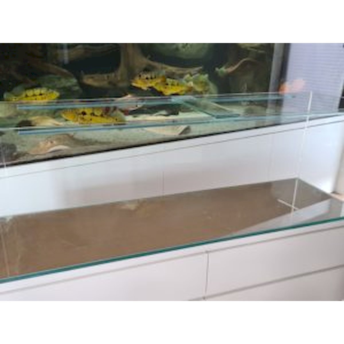 aquarium 160x48x40cm (lxtxh) 307l für schwedische kommode (auf lager in plz 31555)