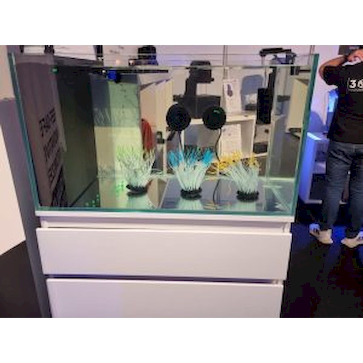 aquarium 70x39,5x50cm (lxtxh) 138l für schwedische kommode (auf lager in plz 31555)