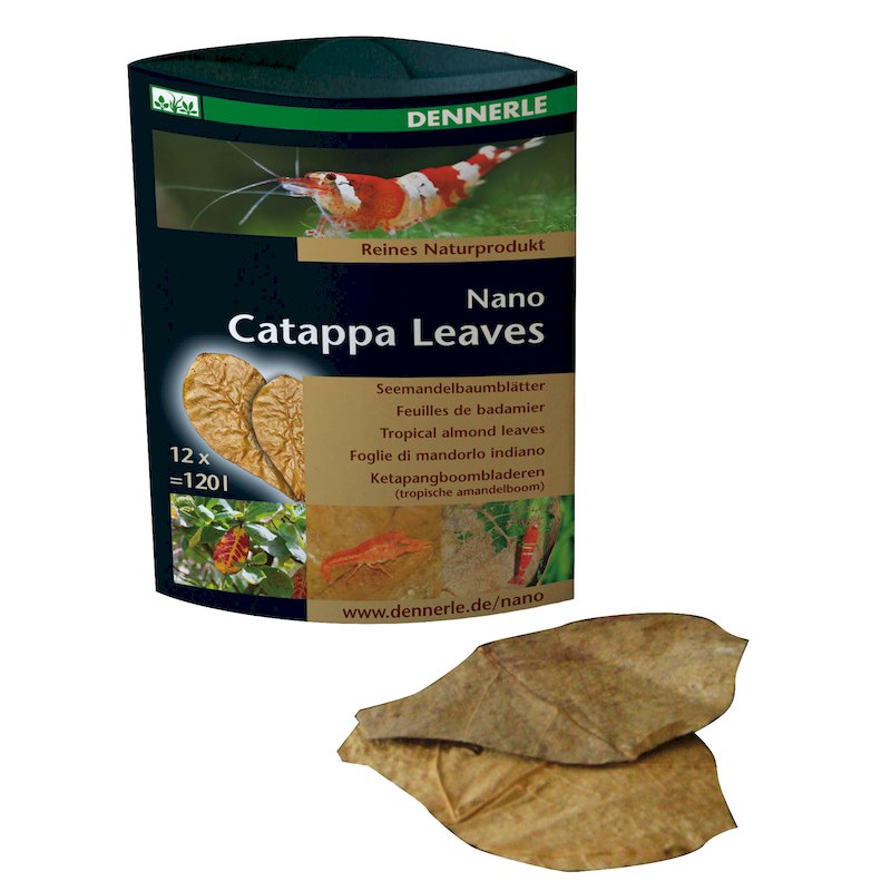 Nano Catappa Leaves (12 Stück)