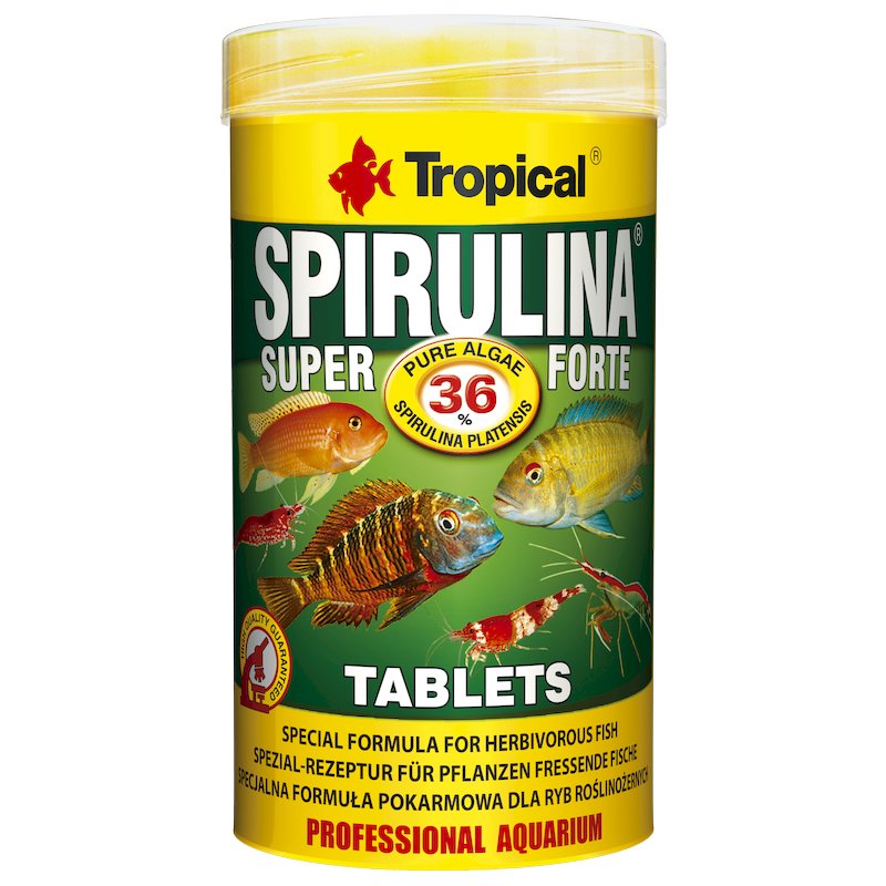 Super Spirulina Forte Tablets (250 ml)