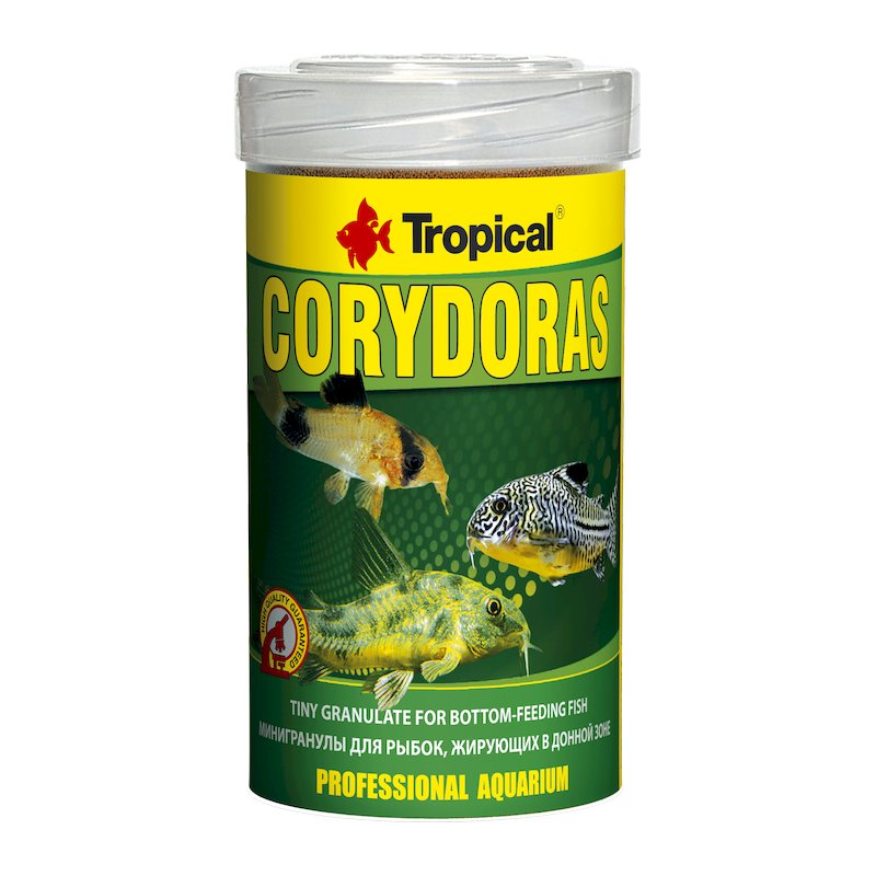 Corydoras (100 ml)