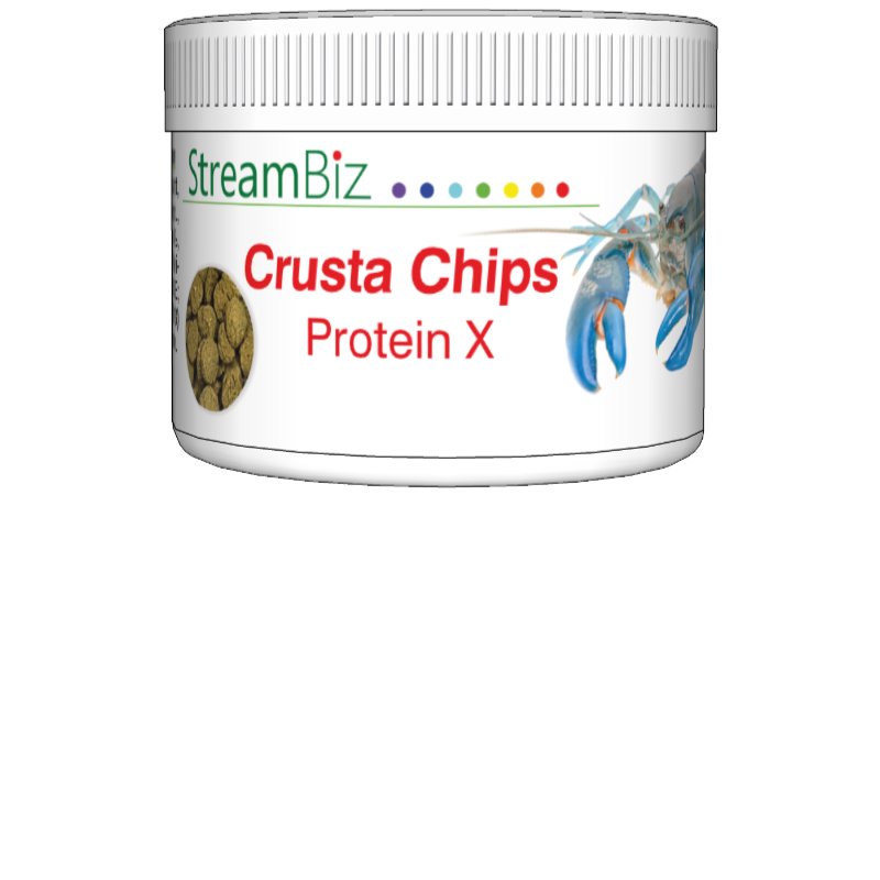 Crusta Chips Protein X (40 g)
