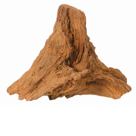 Mangrovenwurzel S, 15-25 cm