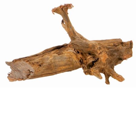 Mangrovenwurzel M, 25-45 cm
