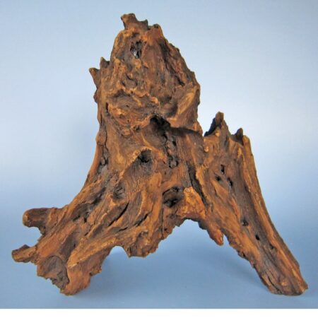 Mangroven-Wurzel Large (35-60 cm)