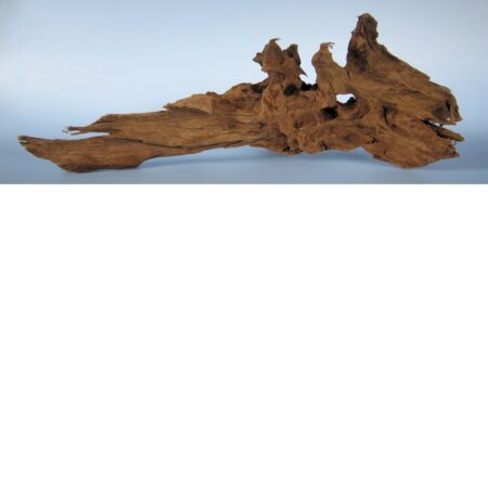 Mangroven-Wurzel X-Large (70-90 cm)