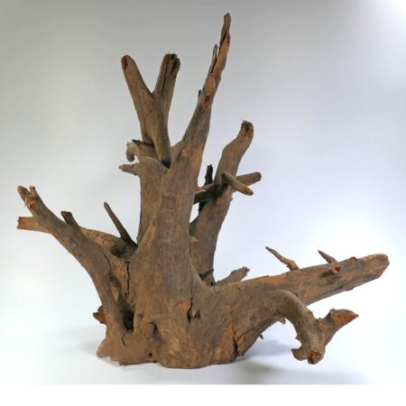 Corbo-Wurzel Small (30-40 cm)