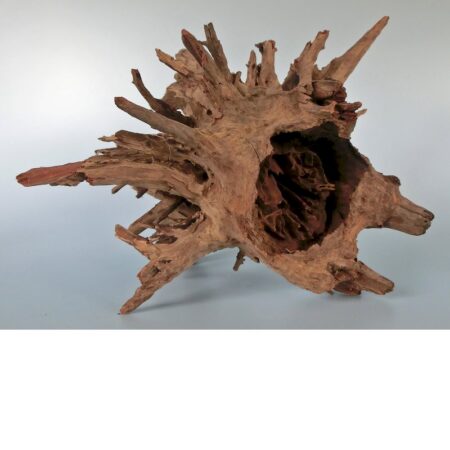 CorboWurzel Medium 40-50 cm