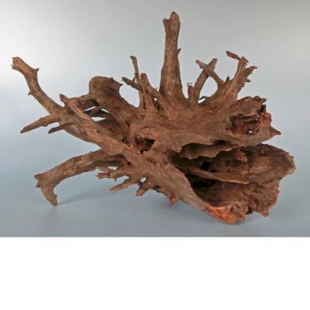 Corbo-Wurzel Large (50-70 cm)