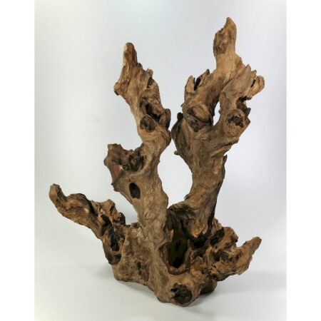 Barico-Wurzel Large (30-45 cm)