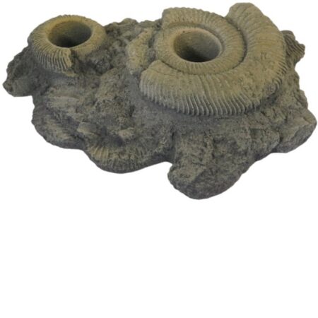 Pflanzhilfe 12 Fossilien