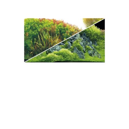 Fotorückwand River/Rocks (120x50 cm)