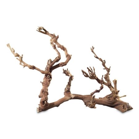 Weinrebenwurzel Jumbo (ca. 50-70 cm)