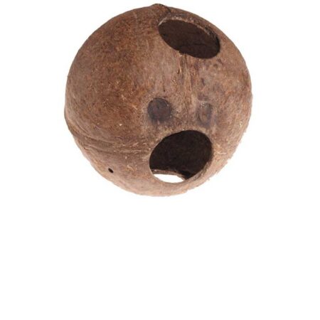 Aqua Cave L (12 x 13 x 13 cm)