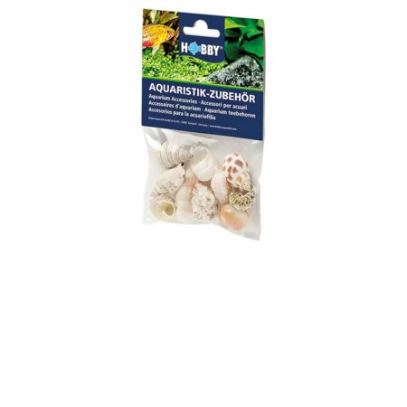 Sea Shells Set M (10 Stück)