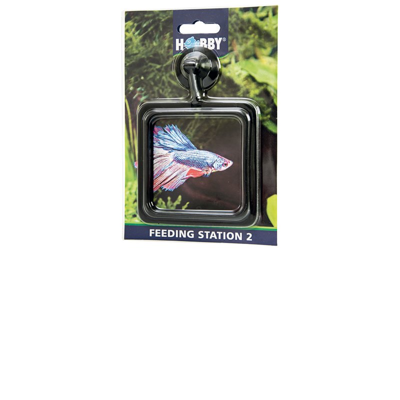 Feeding Station 2, eckig 10 x 10 cm