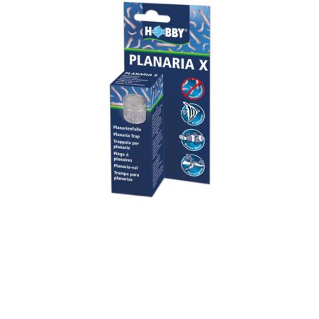 Planaria X Planarienfalle