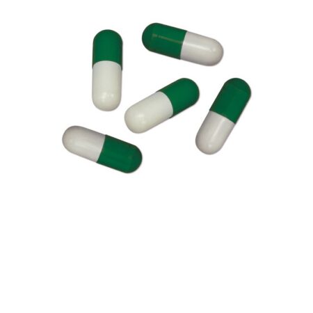 Planaria X Special Bait - Köder für Planarienfalle (5 Stück)